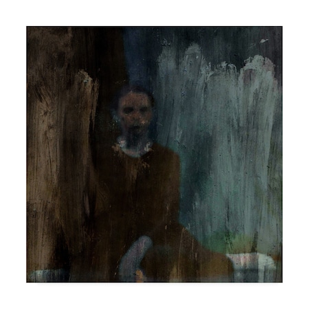 Dalibor Davidovic 'Shadows Portrait Blurred' Canvas Art,14x14